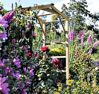 Thelma Retreat Garden and Teahouse - Lightning Ridge Tourism