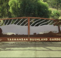 Tasmanian Bushland Garden - Lightning Ridge Tourism