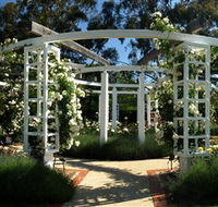 Old Parliament House Gardens - Lightning Ridge Tourism