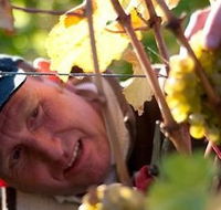 Puddleduck Vineyard - Lightning Ridge Tourism