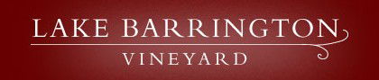 Lake Barrington Estate Vineyard - Lightning Ridge Tourism 0