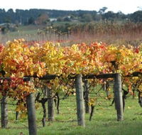 Apsley Gorge Vineyard - Lightning Ridge Tourism