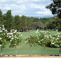RMC Golf Club - Lightning Ridge Tourism