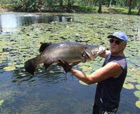 Barra Feeding - Lightning Ridge Tourism 0