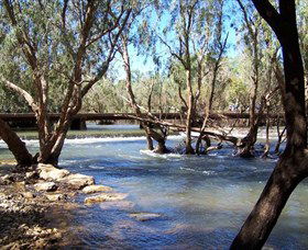Virginia NT Lightning Ridge Tourism