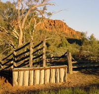 Illamurta Springs Conservation Reserve - Lightning Ridge Tourism