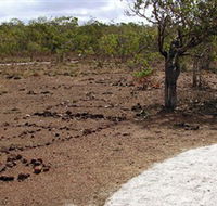 Wurrwurrwuy Garanhan Macassan Beach Interpretive Walk - Lightning Ridge Tourism