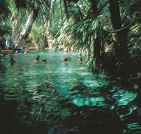 Mataranka Thermal Pool - Lightning Ridge Tourism