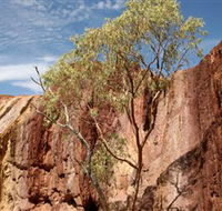 Ochre Pits - Lightning Ridge Tourism