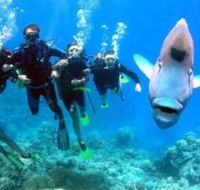The Aarhus Dive Site - Lightning Ridge Tourism