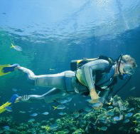 Kirra Reef Dive Site - Lightning Ridge Tourism