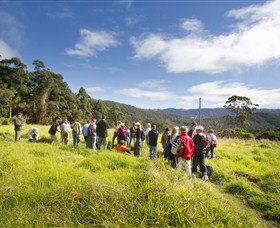 Springbrook QLD Lightning Ridge Tourism