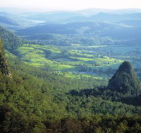 Springbrook Plateau Springbrook National Park - Lightning Ridge Tourism