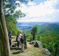 Gold Coast Hinterland Great Walk - Lightning Ridge Tourism