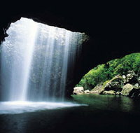 Natural Bridge Springbrook National Park - Lightning Ridge Tourism