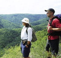Sunshine Coast Hinterland Great Walk - Lightning Ridge Tourism