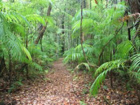 Mapleton QLD Lightning Ridge Tourism