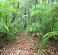 Delicia Road Conservation Park - Lightning Ridge Tourism