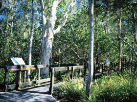 Noosa Heads QLD Lightning Ridge Tourism