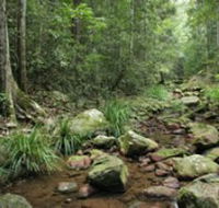 Amamoor State Forest - Lightning Ridge Tourism