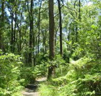 Mapleton Falls National Park - Lightning Ridge Tourism