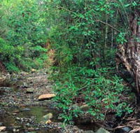 Mudlo National Park - Lightning Ridge Tourism