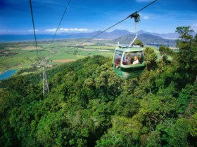 Skyrail Rainforest Cableway - Lightning Ridge Tourism 0