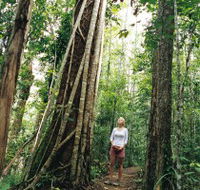 Wet Tropics - Lightning Ridge Tourism