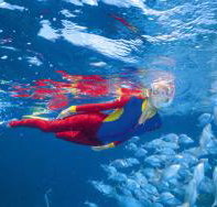 Pixie Pinnacle Dive Site - Lightning Ridge Tourism