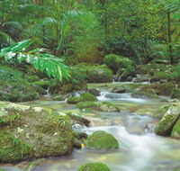 Mossman Gorge Daintree National Park - Lightning Ridge Tourism
