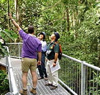 Daintree Discovery Centre - Lightning Ridge Tourism