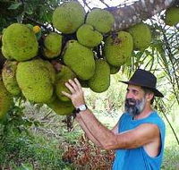 Cape Trib Exotic Fruit Farm - Lightning Ridge Tourism