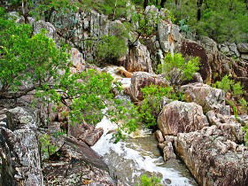 Crows Nest National Park - Lightning Ridge Tourism 0