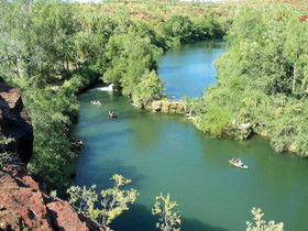 Wild Dog Dreaming, Boodjamulla (Lawn Hill) National Park - Lightning Ridge Tourism 0