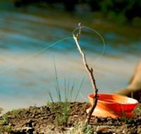 Charleville - Mangalore Warrego River Fishing Spot - Lightning Ridge Tourism