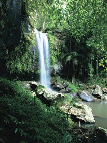 Tamborine QLD Lightning Ridge Tourism