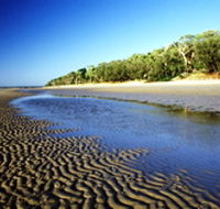 Burrum Coast National Park - Lightning Ridge Tourism