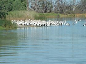 Lake Ross - Lightning Ridge Tourism 0