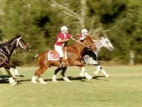 Thane QLD Lightning Ridge Tourism