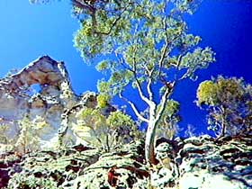 Mitchell QLD Lightning Ridge Tourism