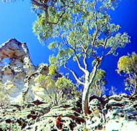 Mount Moffatt Section - Carnarvon National Park - Lightning Ridge Tourism