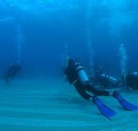 Child Island Dive Site - Lightning Ridge Tourism