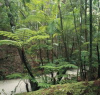 Fraser Island Great Walk - Lightning Ridge Tourism