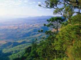 Goomburra, Main Range National Park - Lightning Ridge Tourism 0