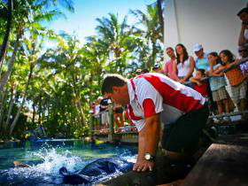 Daydream Island QLD Lightning Ridge Tourism