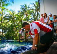 The Living Reef on Daydream Island - Lightning Ridge Tourism