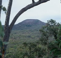 Mount Fox - Lightning Ridge Tourism