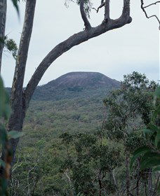 Mount Fox - Lightning Ridge Tourism 0