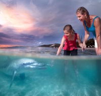 Tangalooma Island Resort - Lightning Ridge Tourism