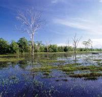 Tyto Wetlands - Lightning Ridge Tourism